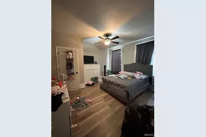 3828 Louisiana Avenue, Saint Louis, MO 63118 - Photo 7