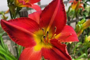 5400 Itaska St, Saint Louis, MO 63109 - Photo 37