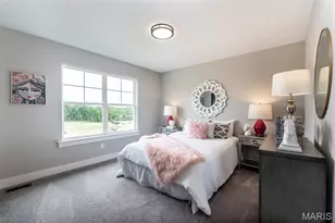 1 Tbb Waverly 3 Car @ The Villages At Post Farms, O'Fallon, MO 63385 - Photo 17