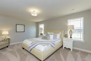 1 Tbb Carver 3 Car @ The Villages At Post Farms, O'Fallon, MO 63385 - Photo 15