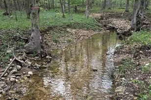 709 Eberhardt Ln, De Soto, MO 63020 - Photo 43