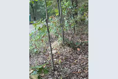 9734 Derby Lane, Bonne Terre, MO 63628 - Photo 5