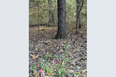 9734 Derby Lane, Bonne Terre, MO 63628 - Photo 7