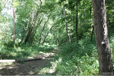 16292 Maries Road 303, Vienna, MO 65582 - Photo 53