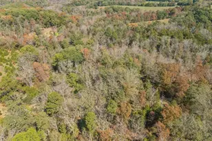 13423 Roth Rd, Bonne Terre, MO 63628 - Photo 27