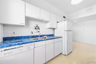 709 S Skinker Blvd, Saint Louis, MO 63105 - Photo 11