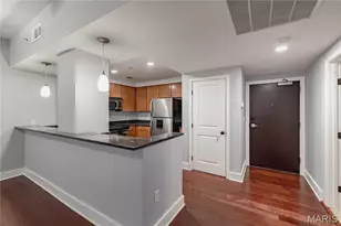 314 N Broadway, Saint Louis, MO 63102 - Photo 11