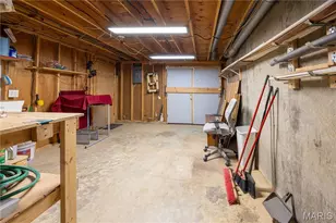 930 Jackson Trail, Jackson, MO 63755 - Photo 45