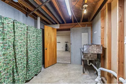 458 Cherry Drive, Saint Genevieve, MO 63670 - Photo 41