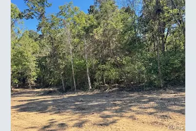 109 Elizabeth Court, Wright City, MO 63390 - Photo 3