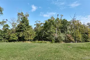 17603 Hitching Post Ct, Eureka, MO 63025 - Photo 41