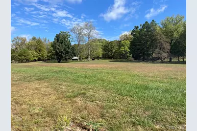 87 County Road 11, Pilot Knob, MO 63663 - Photo 19