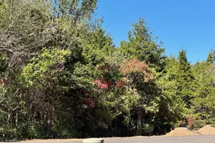 105 Anna Ct, Wright City, MO 63390 - Photo 1