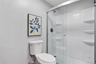 4445 Cedar Tree Ln, De Soto, MO 63020 - Photo 49