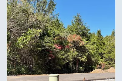 107 Anna Court, Wright City, MO 63390 - Photo 3