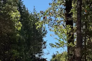 106 Anna Ct, Wright City, MO 63390 - Photo 1