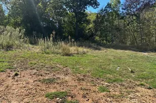 513 W Mineral St, De Soto, MO 63020 - Photo 3