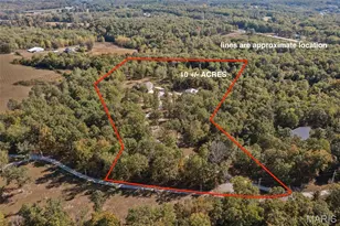 10166 Wood Hollow Rd, Mineral Point, MO 63660 - Photo 3