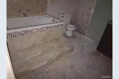 10067 Prince Drive, Saint Louis, MO 63136 - Photo 7