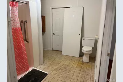 301 Lilac Drive, Potosi, MO 63664 - Photo 17