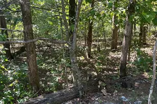 5526 Bon Ron Dr, Hillsboro, MO 63050 - Photo 3