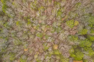 1535 Hwy H, Farmington, MO 63640 - Photo 29