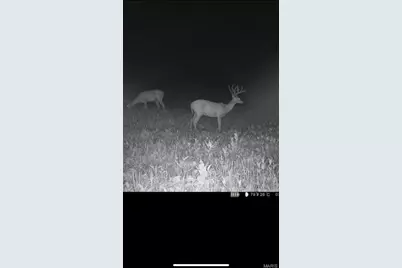 0 Kerick Lane, Bourbon, MO 65441 - Photo 35