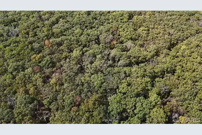 0 Kerick Lane, Bourbon, MO 65441 - Photo 13