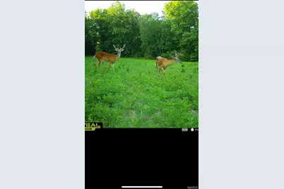 0 Kerick Lane, Bourbon, MO 65441 - Photo 43