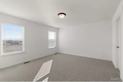 602 Fence Row Drive, O'Fallon, MO 63385 - Photo 13