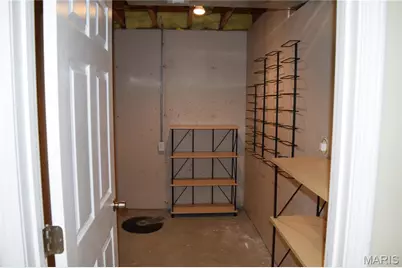 354 Birchwood Crossing Lane, Maryland Heights, MO 63043 - Photo 37