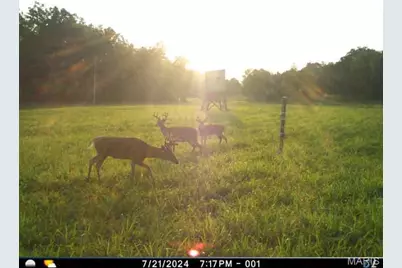 0 Clear Creek Road, Richwoods, MO 63071 - Photo 73