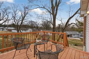 13232 Heirloom Ct, Saint Louis, MO 63146 - Photo 43