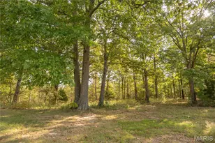 9711 Hwy PP, Poplar Bluff, MO 63901 - Photo 17