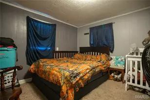 9711 Hwy PP, Poplar Bluff, MO 63901 - Photo 13
