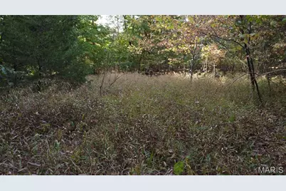 150 Dubuque Lane, Hillsboro, MO 63050 - Photo 63