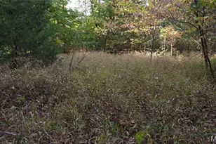 150 Dubuque Ln, Hillsboro, MO 63050 - Photo 63