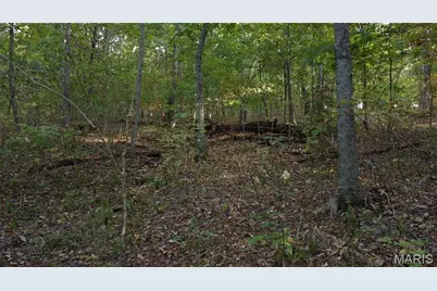 150 Dubuque Lane, Hillsboro, MO 63050 - Photo 9