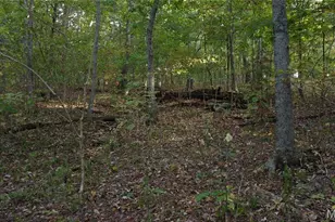 150 Dubuque Ln, Hillsboro, MO 63050 - Photo 9