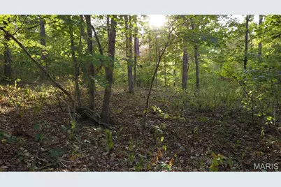 150 Dubuque Lane, Hillsboro, MO 63050 - Photo 75