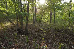 150 Dubuque Ln, Hillsboro, MO 63050 - Photo 75