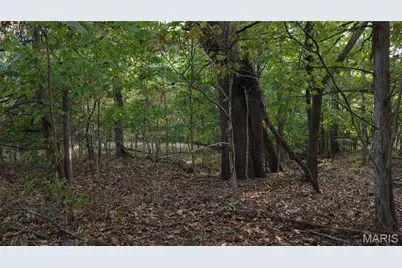 150 Dubuque Lane, Hillsboro, MO 63050 - Photo 67