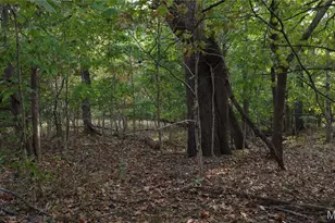 150 Dubuque Ln, Hillsboro, MO 63050 - Photo 67