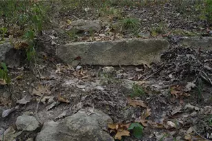 150 Dubuque Ln, Hillsboro, MO 63050 - Photo 73