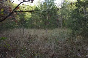 150 Dubuque Ln, Hillsboro, MO 63050 - Photo 65