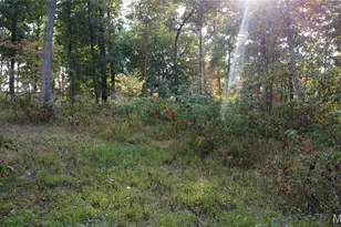 150 Dubuque Ln, Hillsboro, MO 63050 - Photo 57