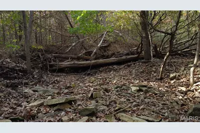 150 Dubuque Lane, Hillsboro, MO 63050 - Photo 69