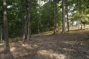 150 Dubuque Ln, Hillsboro, MO 63050 - Photo 87