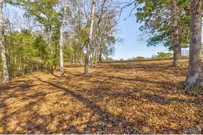 9632 Moonshine Drive, Hillsboro, MO 63050 - Photo 5