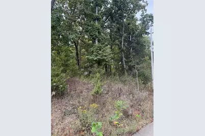 6234 Osage, French Village, MO 63036 - Photo 3